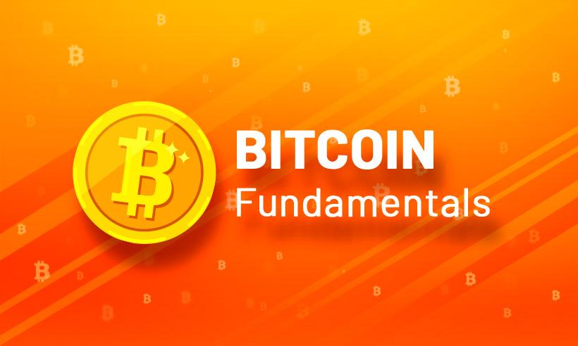 Bitcoin Fundamentals: from Past to Outputs