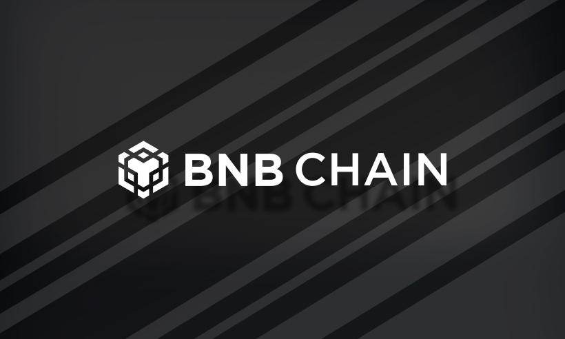 Fake Tokens BNB Chain