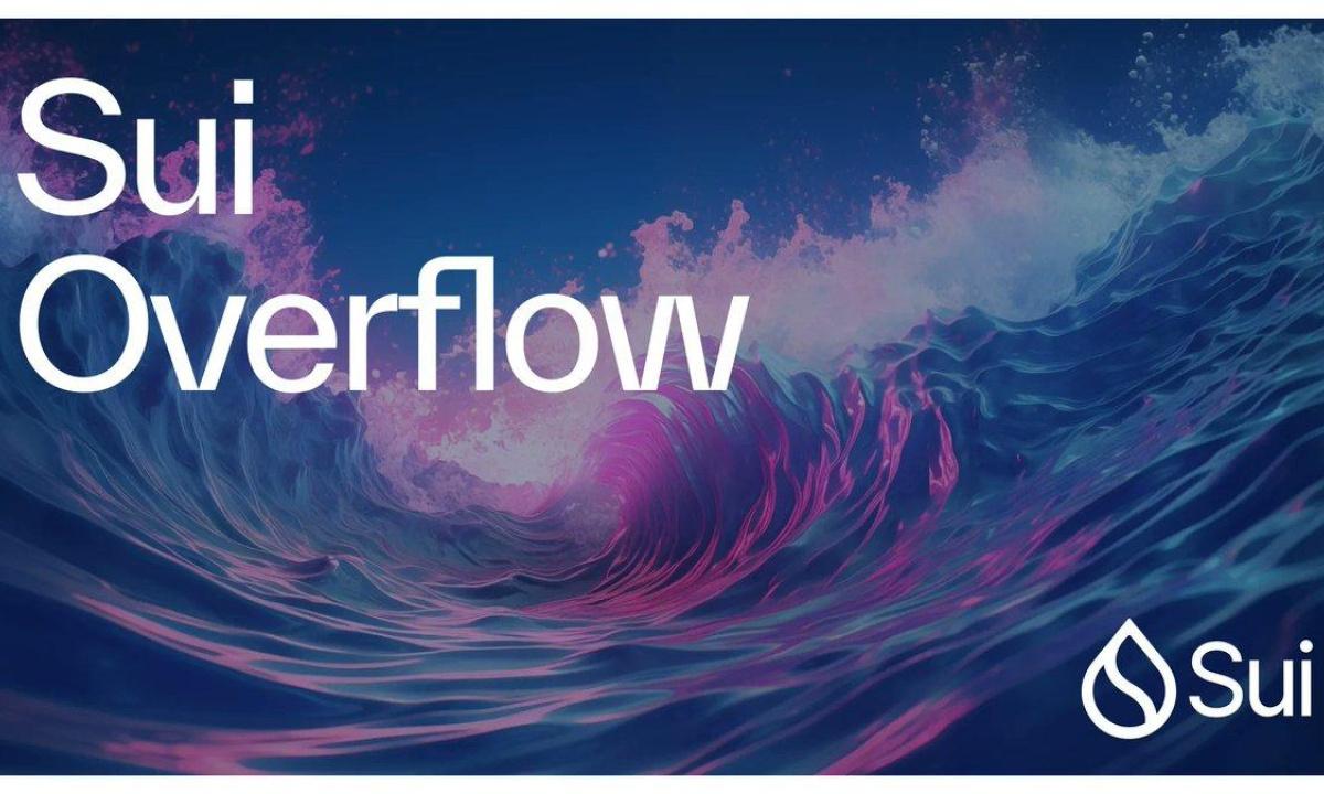 Sui Overflow