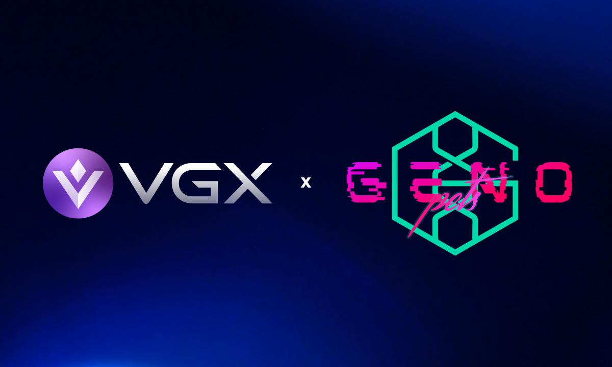 VGX Foundation
