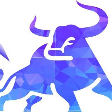 India Crypto Bulls