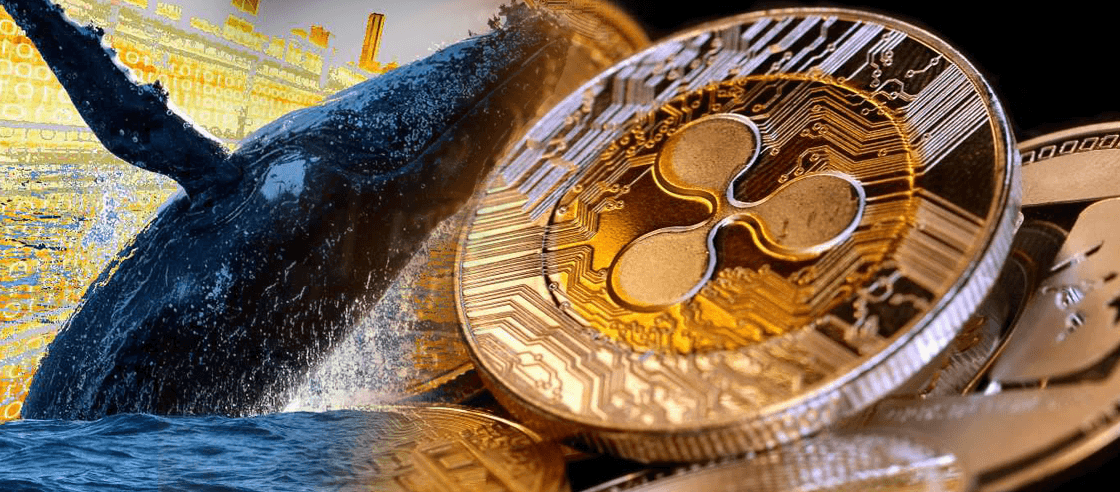 XRP Whales Make Waves with 50 Million Token Transfer to CEXs Amid Market Turbulence