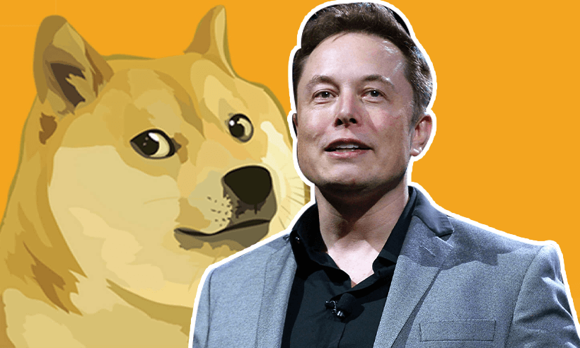 Elon Musk: "I Have Never Said People Should Invest in Crypto"
