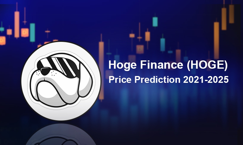 Hoge Finance (HOGE) Price Prediction 2021-2025: Will HOGE Reach $0.001 by 2025?