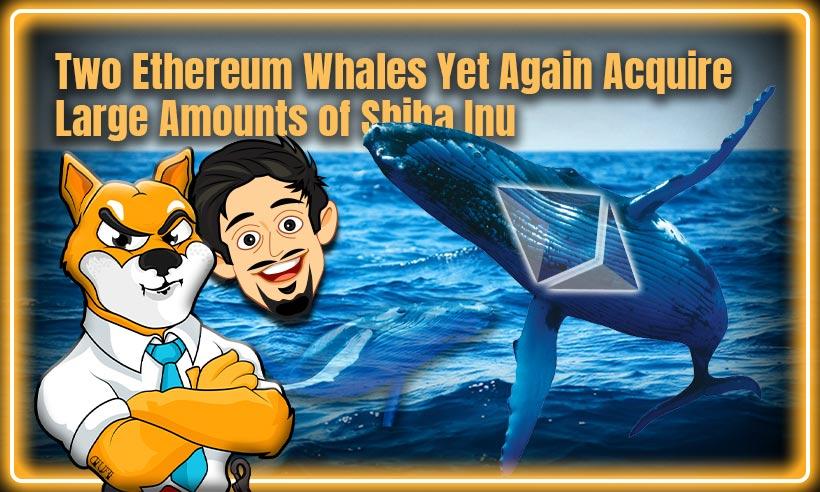 Two Ethereum Whales Yet Again Acquire Large Amounts of Shiba Inu