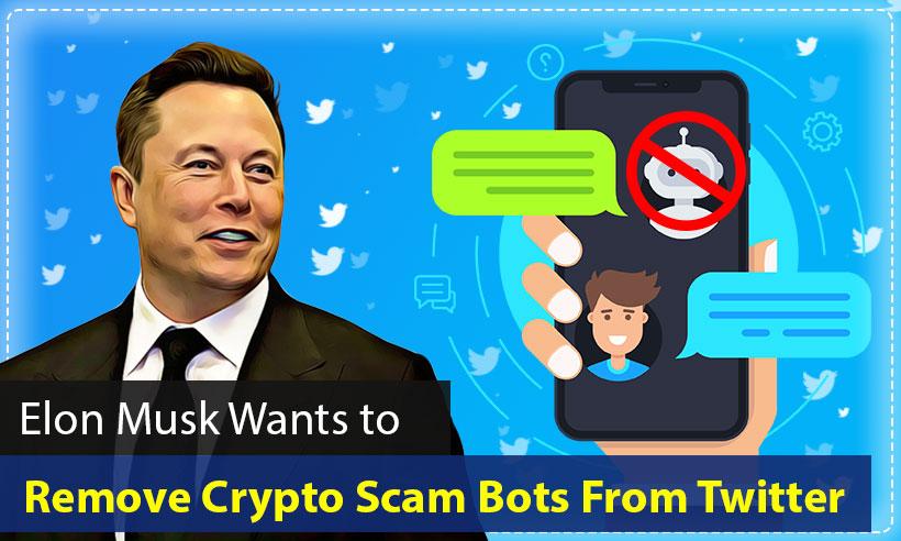 Elon Musk Will Remove Crypto Scam Bots if He Takes Over Twitter