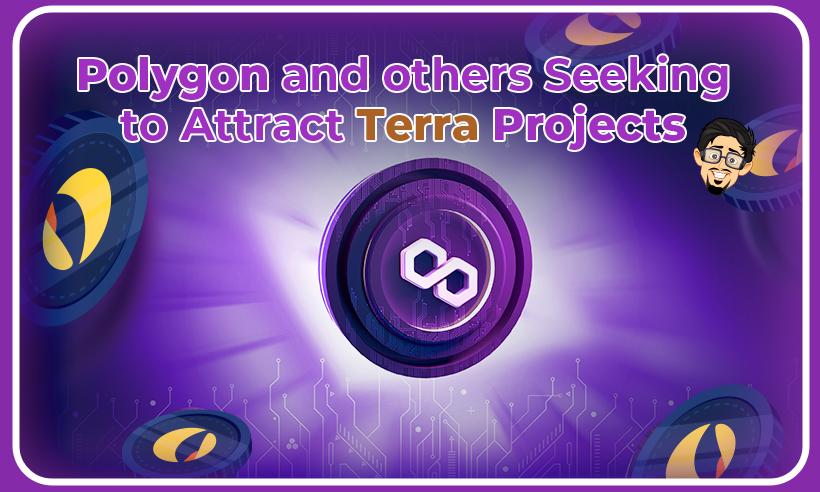 Polygon, Fantom and Others Seeking to Attract Terra-based Projects
