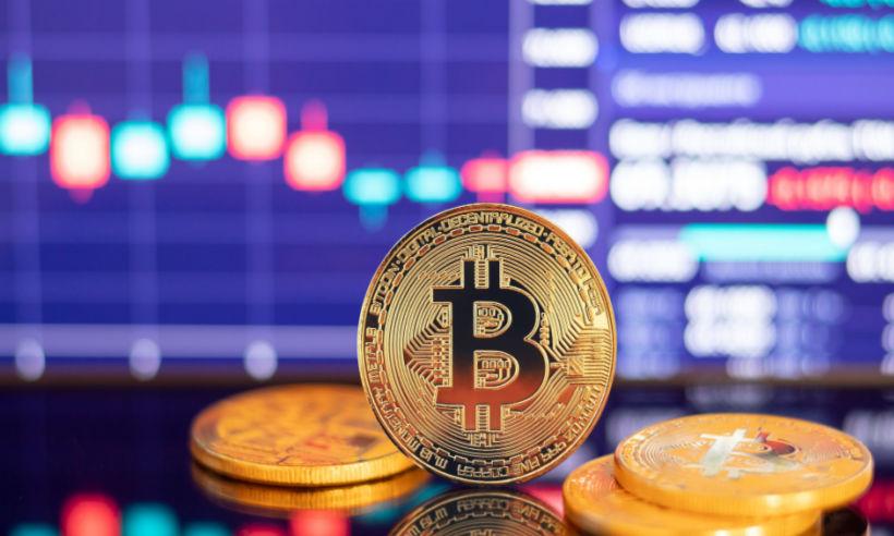 Crypto Advocate Asks Congress to Consider Bitcoin's Humanitarian Impact