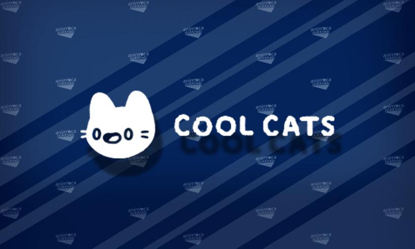 Animoca Brands Makes Strategic Investment In Cool Cats Group