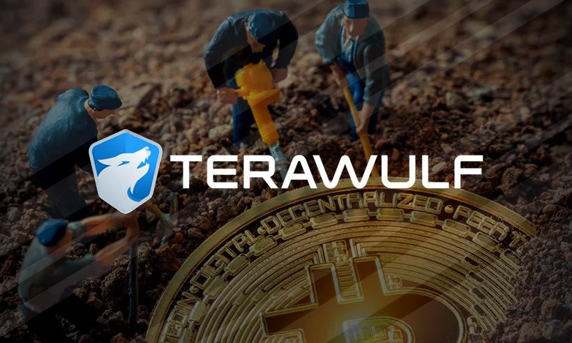 TeraWulf Raised $17M in Q3, but Cash Reserves Stay Low