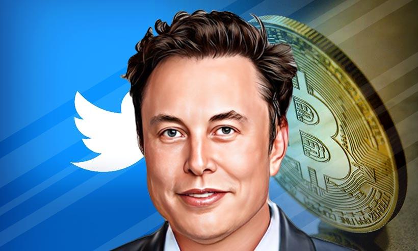 Crypto Spam Bots Disappear as Musk Vows to Pursue Scammers